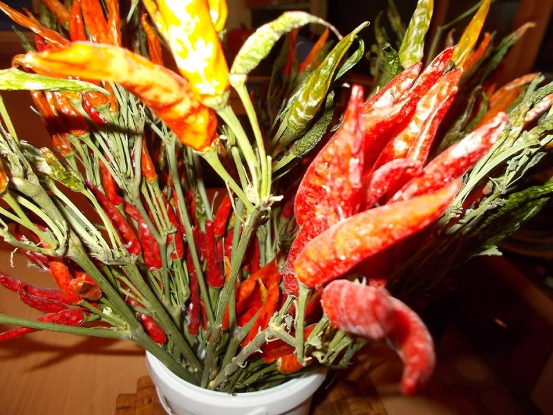 Тёщин язык цветок