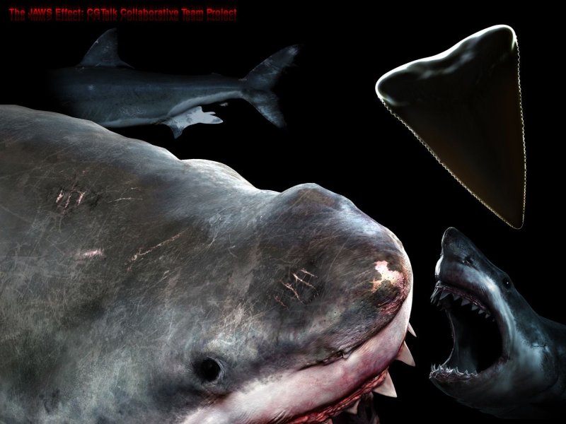 Акула МЕГАЛОДОН