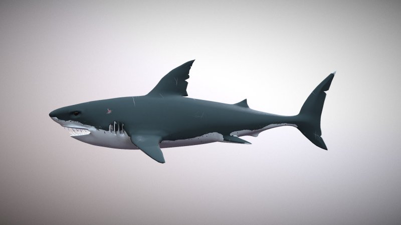 Отодус МЕГАЛОДОН