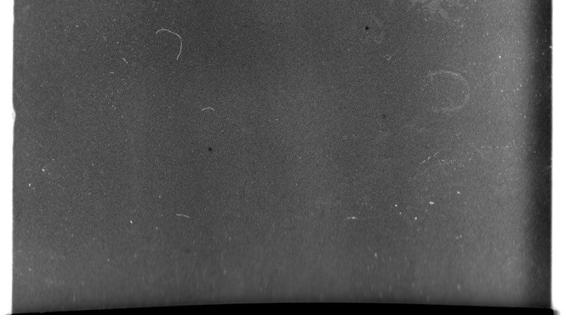 Скан пленочного зерна Ilford Delta 400pr