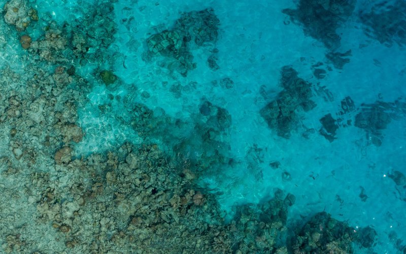 Море вид сверху