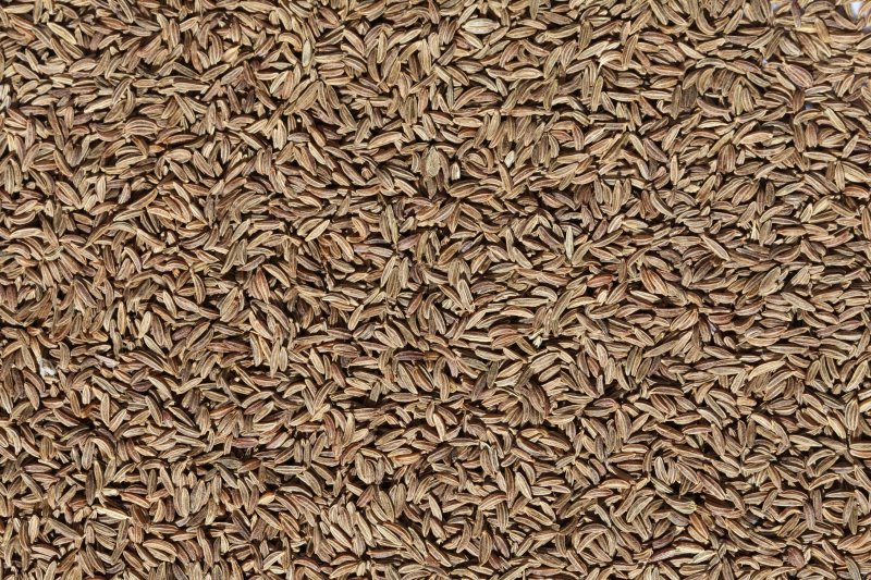 Фактура зерно