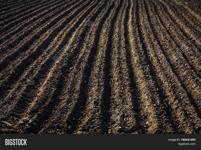 Вспаханная земля