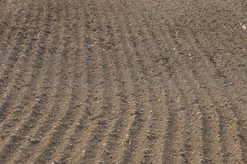 Текстура земли