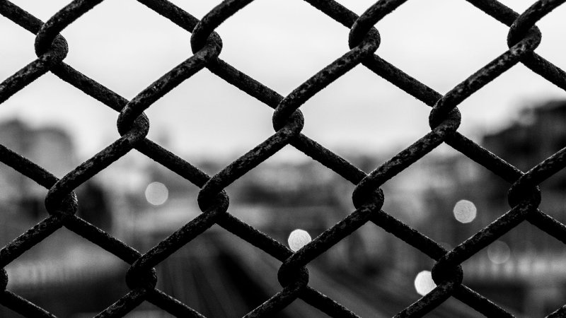 Сетка карбон 2k