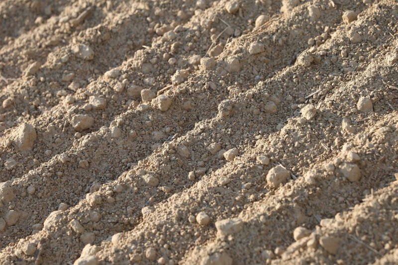 Грунт текстура