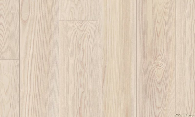 Ламинат клен светлый