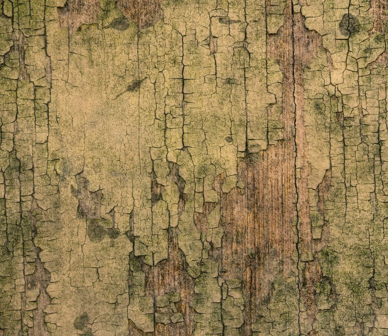 Текстура дерева