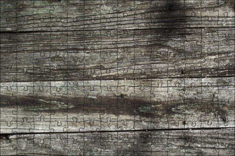 Текстура дерева
