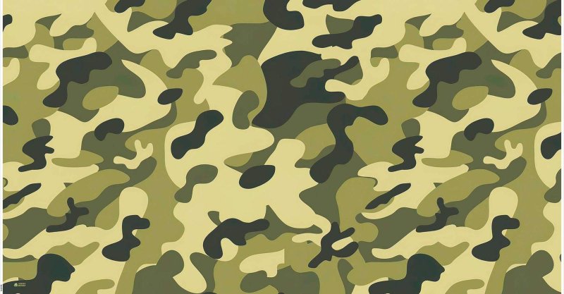 Военный камуфляж