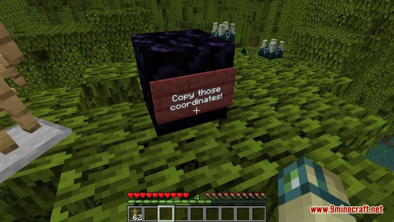 Джава и БЕДРОК