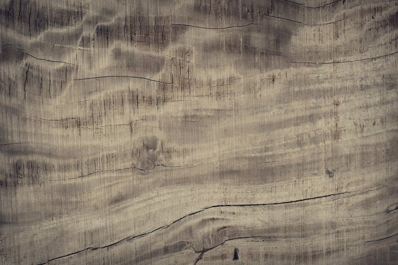 Текстура древесины