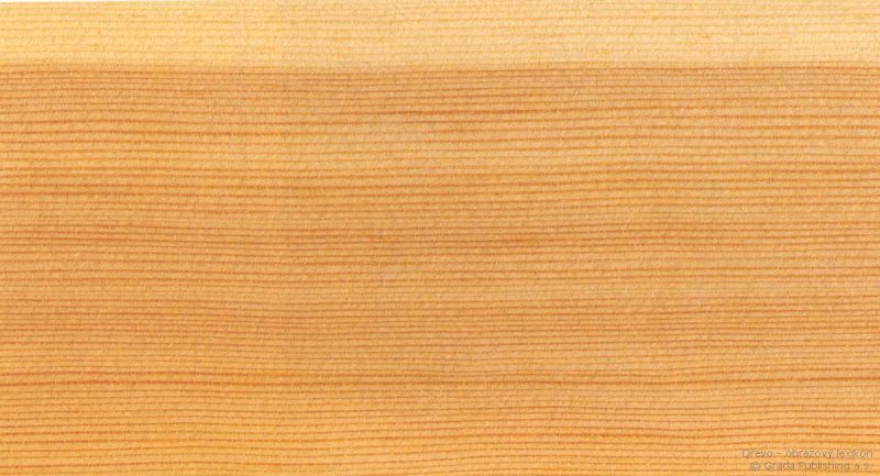 Лиственница текстура древесины