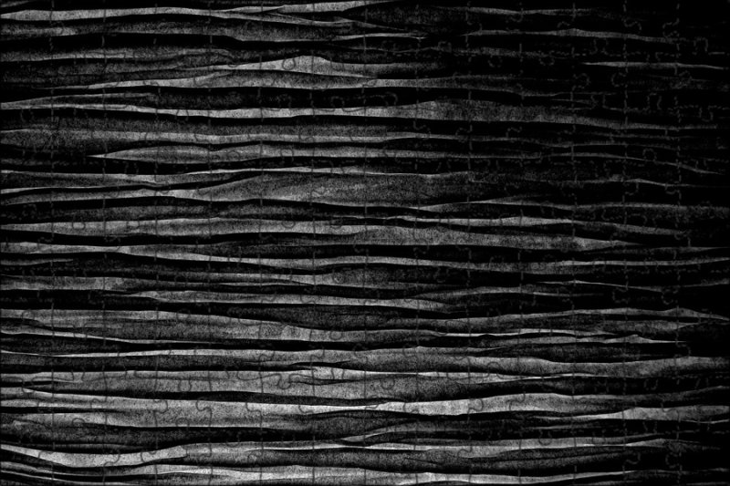 Фактура дерева черно белая