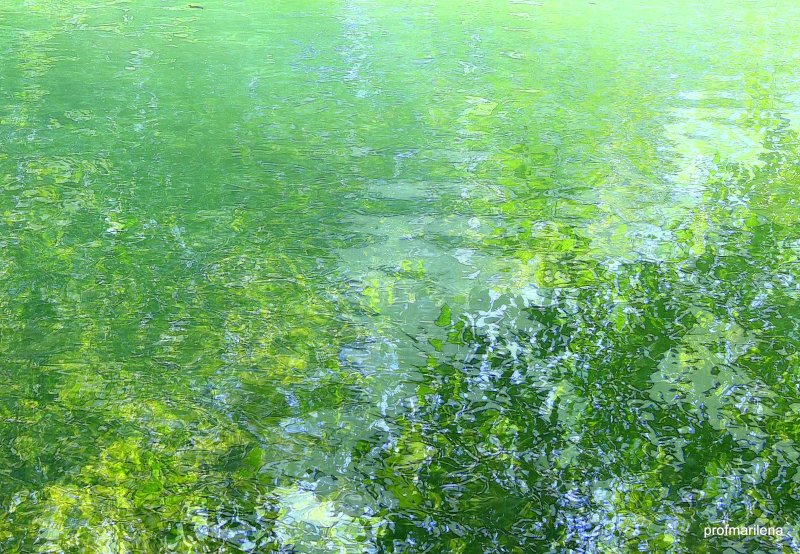 Поверхность воды