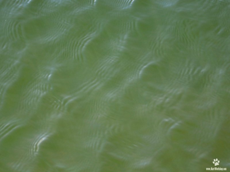 Мутная вода текстура