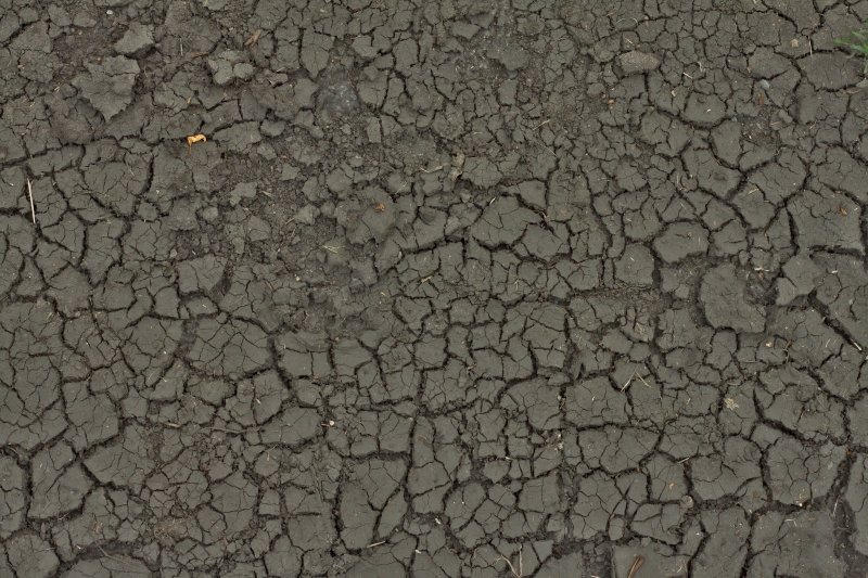 Текстура земли