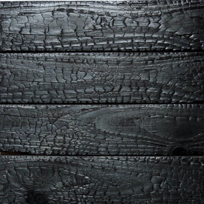 Обугленное дерево