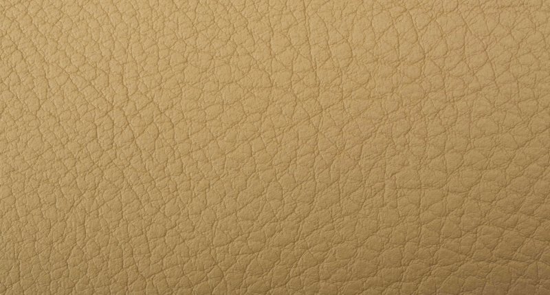 Текстура кожи