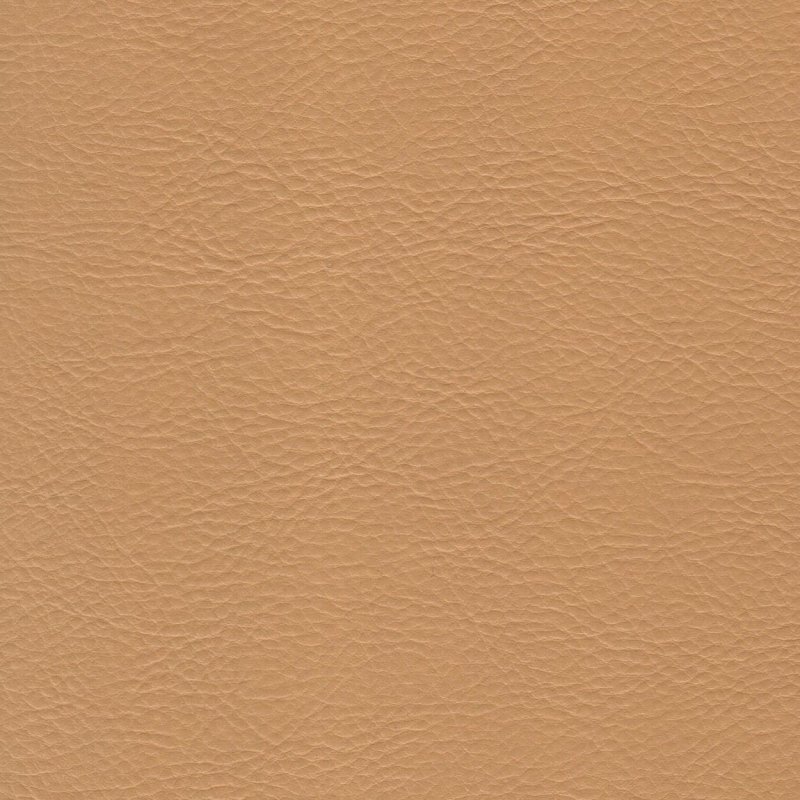 Бежевая кожа