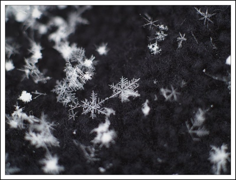 Черная Снежинка