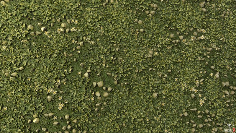 Трава сверху