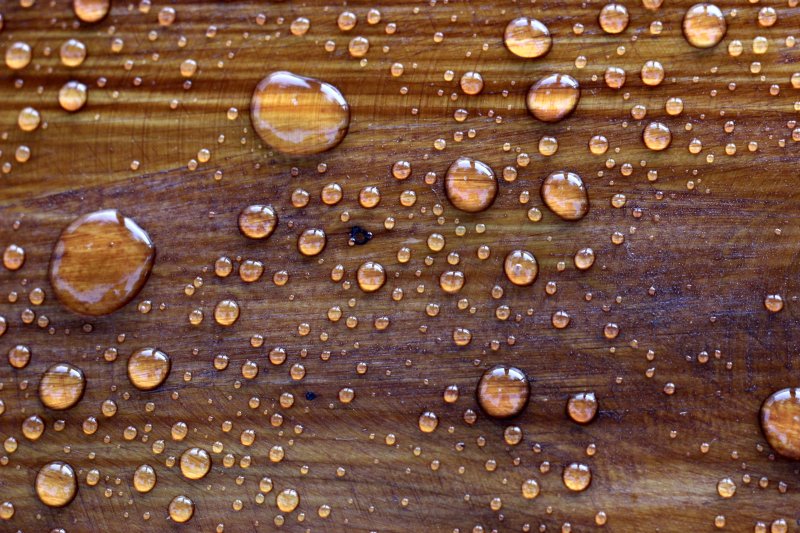 Капли на дереве