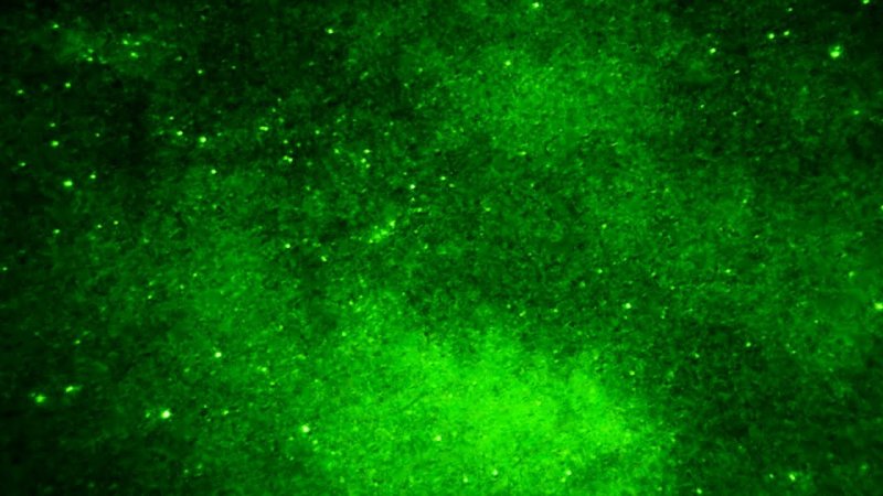 Звёздное небо в ПНВ