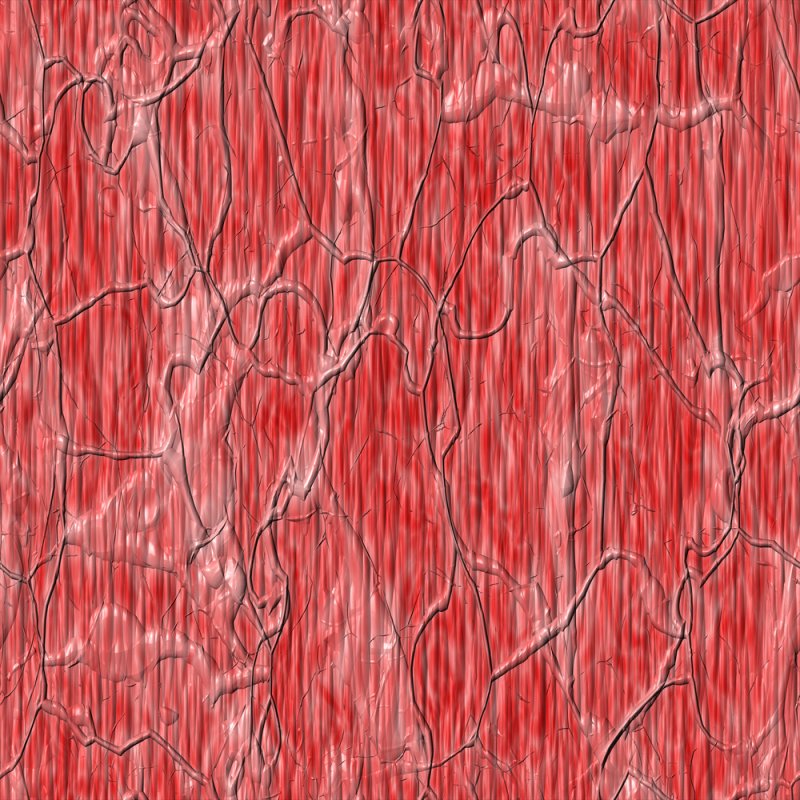 Текстура мышц