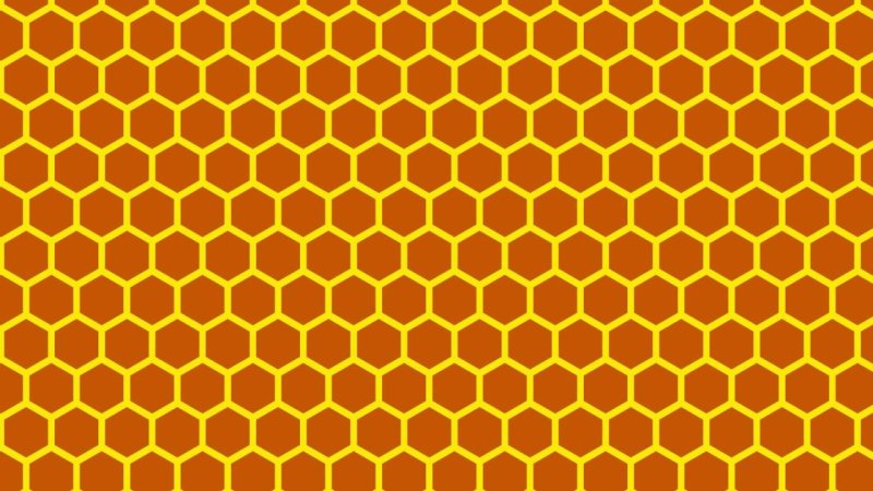 Соты пчелиные