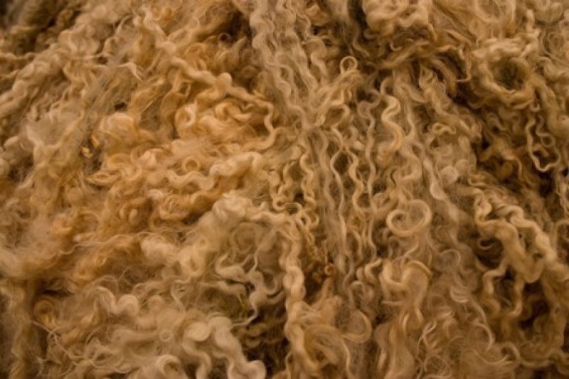 Волнистые волосы текстура