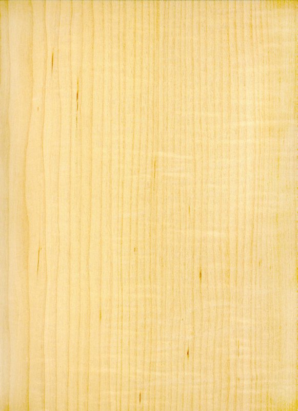 Текстура дерева