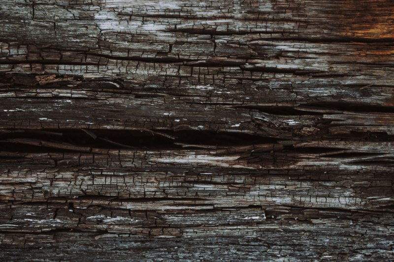 Старое дерево фактура