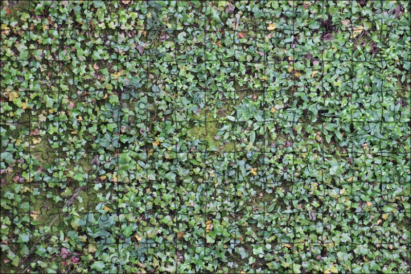 Фактуры растительность