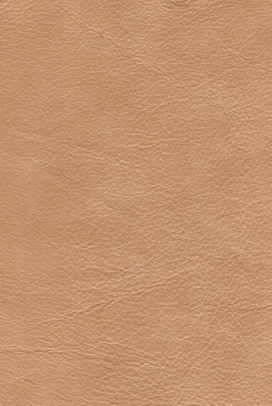 Бежевая кожа