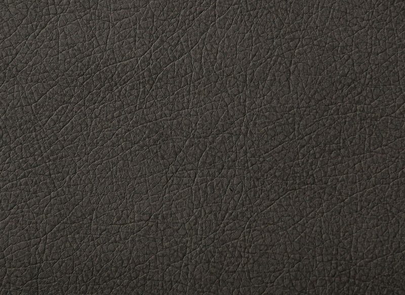 Текстура кожи