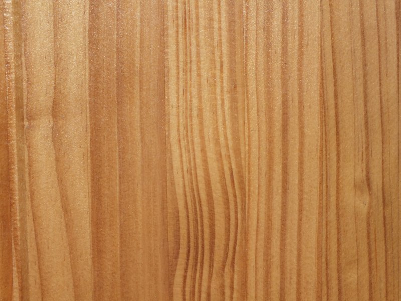 Текстура дерева