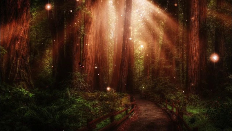 Сказочный лес