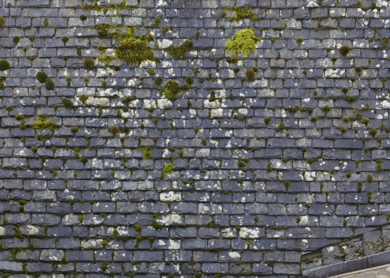 Текстура крыши