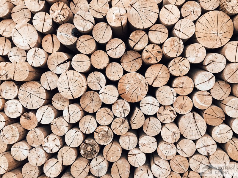 Дерево кругляк