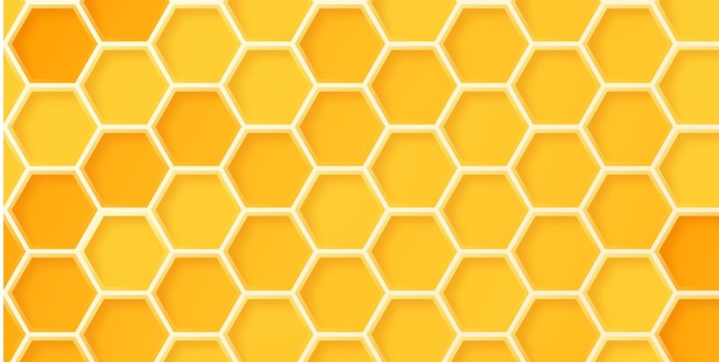 Соты пчелиные