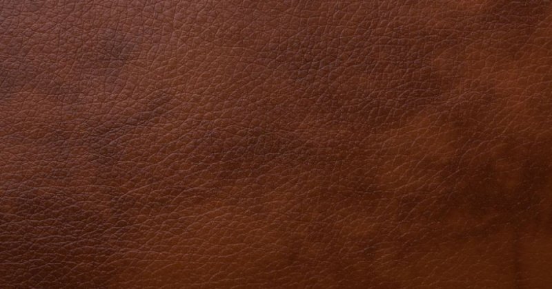 Текстура кожи