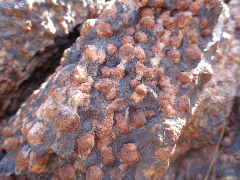 Высокоглиноземистые эклогиты