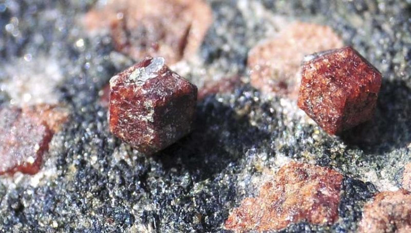 Шубинские эклогиты