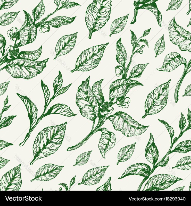 Паттерн чайные листья вектор