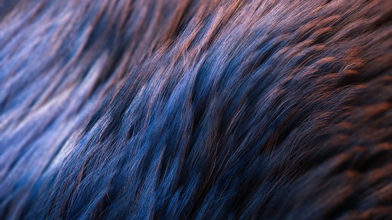 Текстура волос