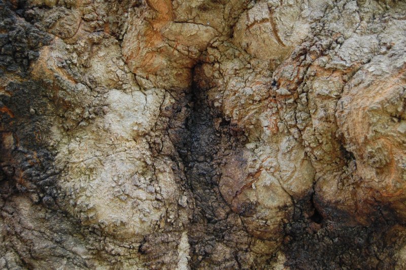 Старая кожа текстура