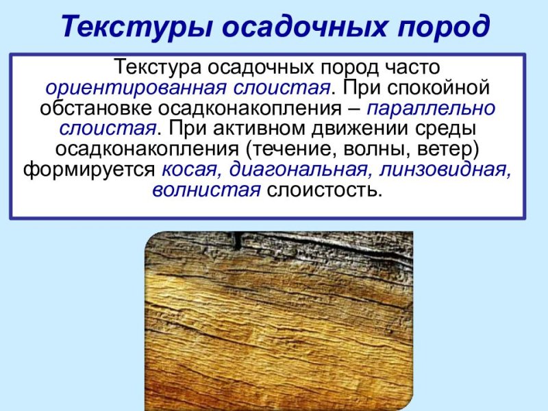 Текстуры осадочных пород