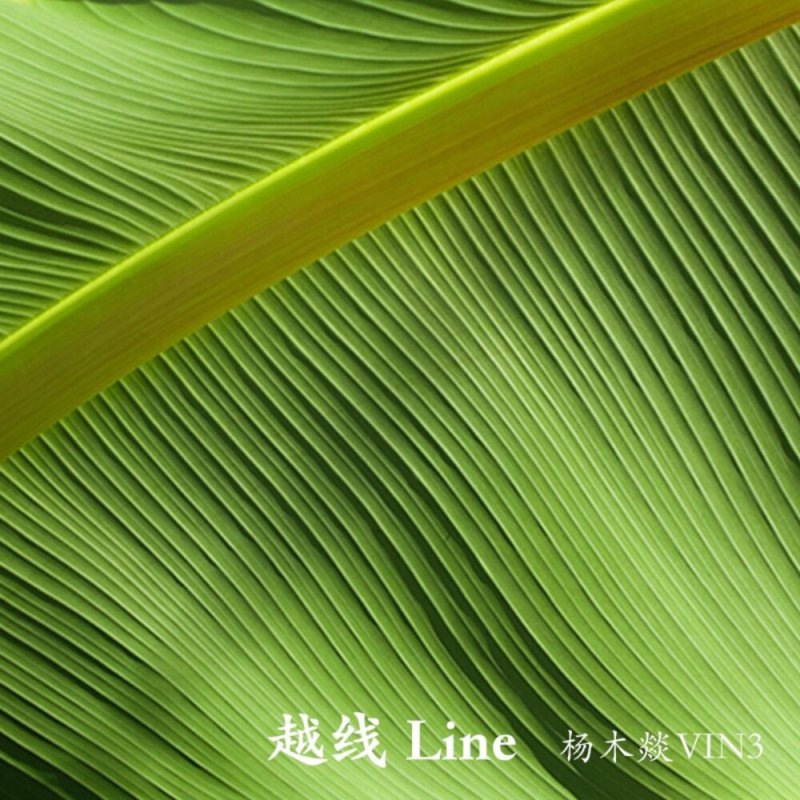 Текстура листа