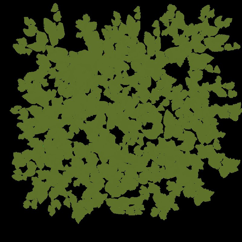 Тень дерева